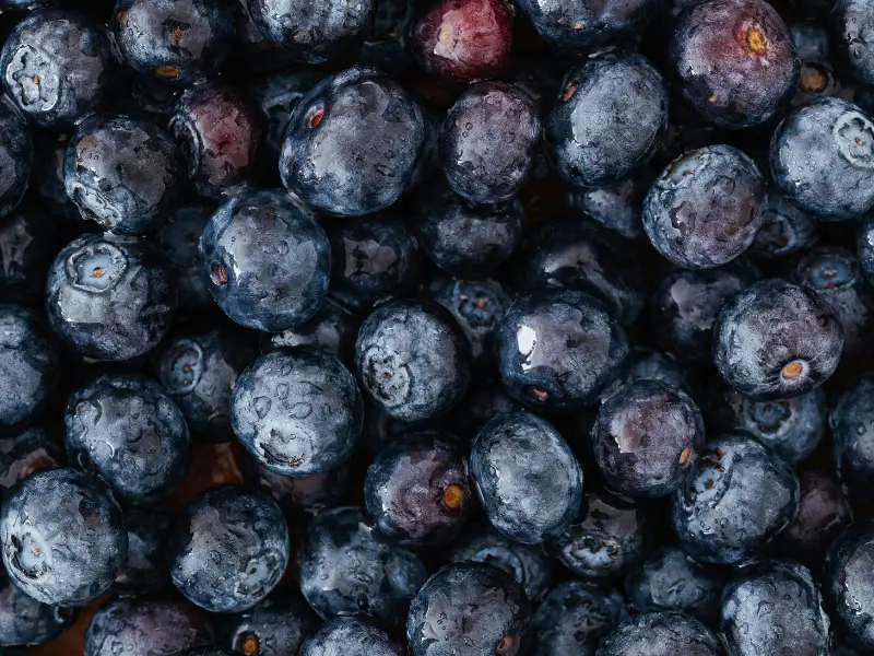 mirtillo nero antiossidanti pelle