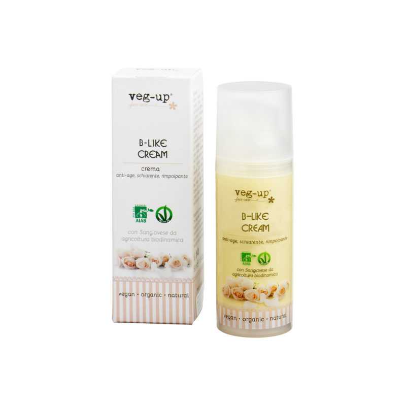 VIS1003-blike-e1541410205130 Vis1003 blike e1541410205130