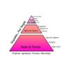 piramide olfattiva nei sogni