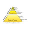 piramide olfattiva controcorrente
