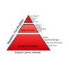 piramide olfattiva nel proibito