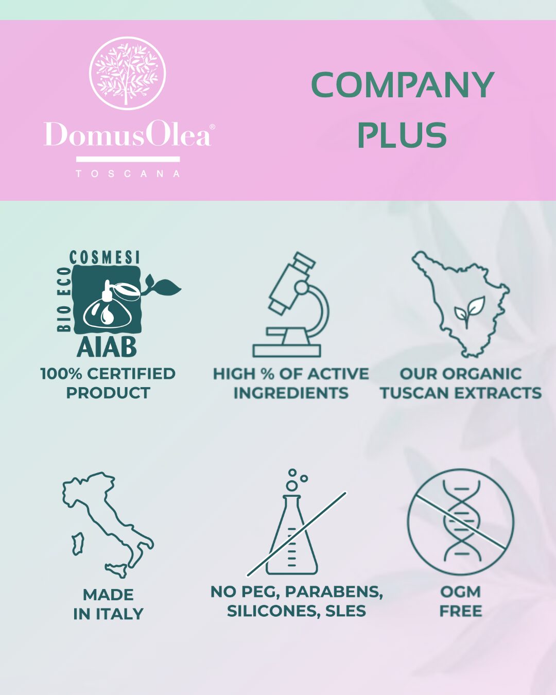 COMPANY-PLUS Company plus
